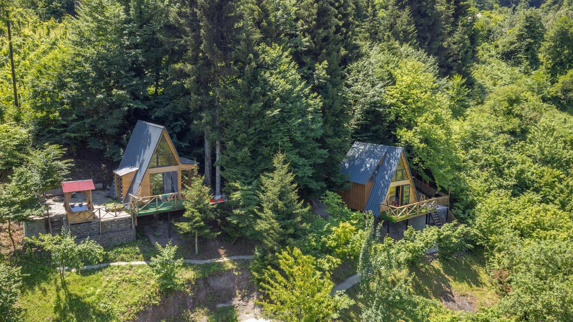 Forest House Dandalo Dış mekan fotoğraf