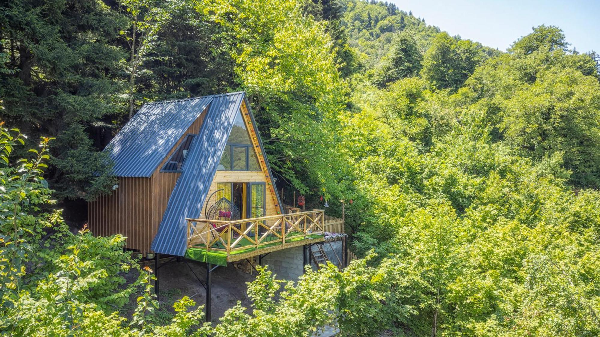 Forest House Dandalo Dış mekan fotoğraf